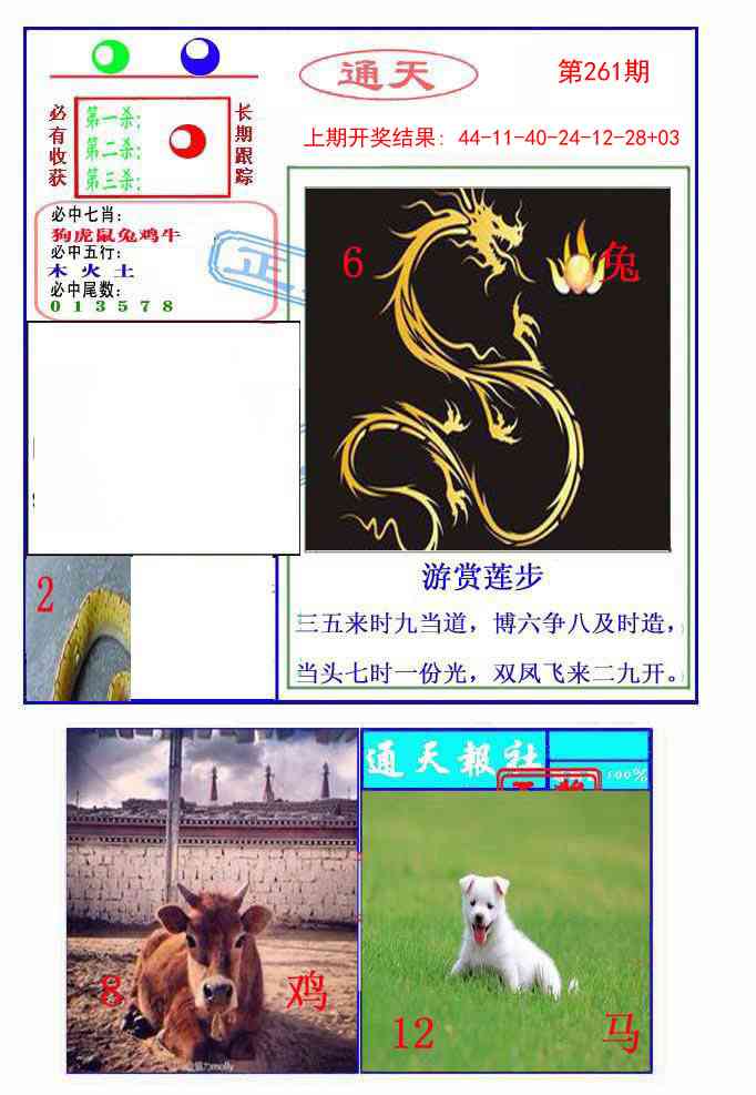 261期通天杀波图2[图]