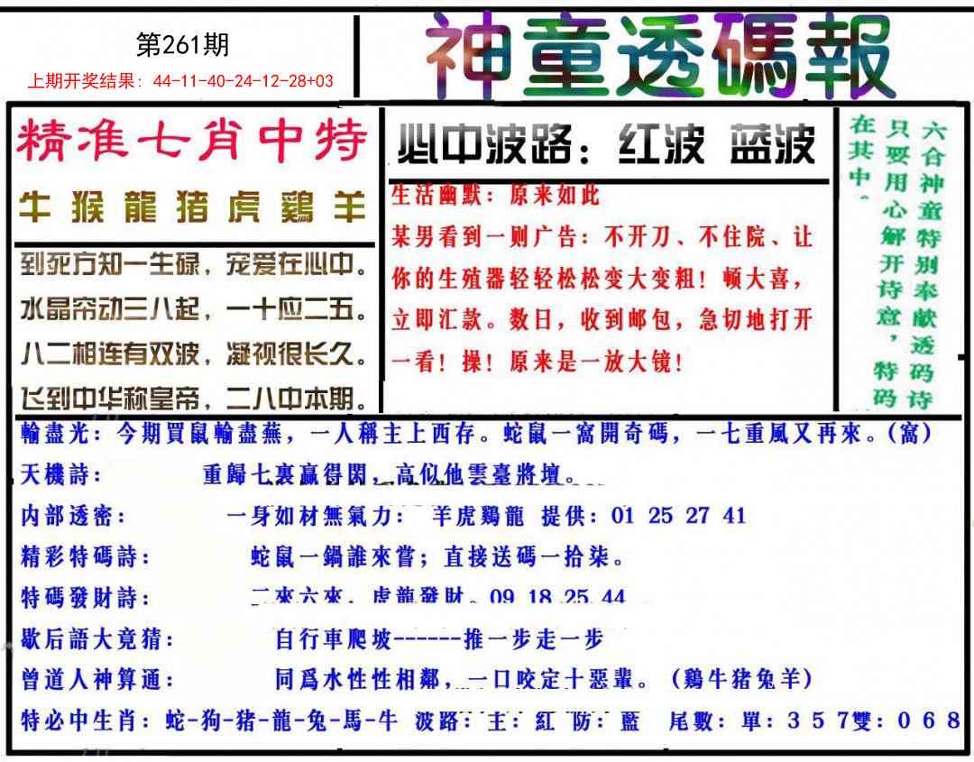 261期神童透码报[图]