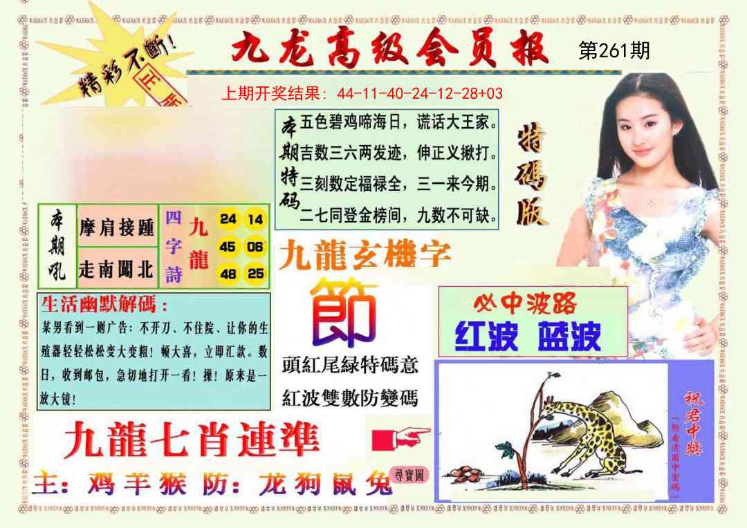 261期九龙高级会员报[图]