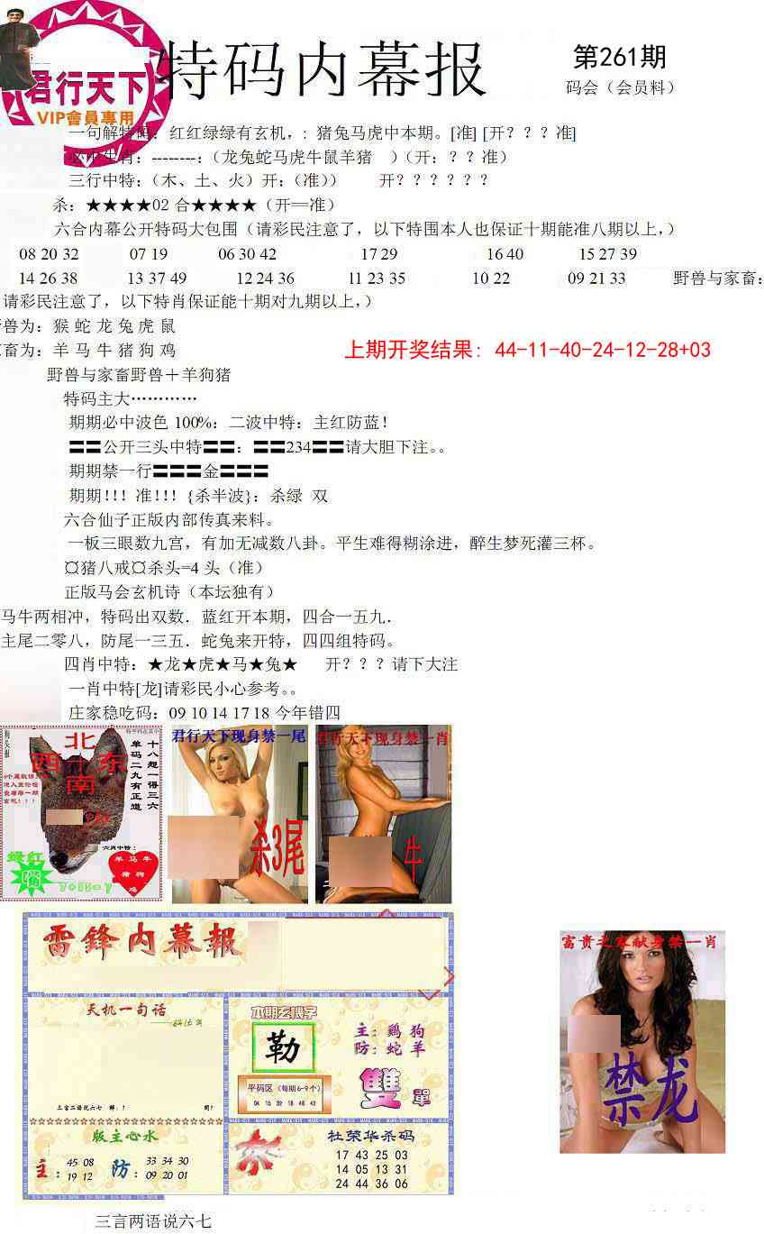 261期特码内幕报[图]