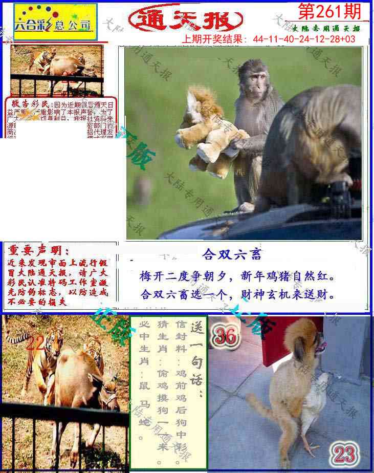 261期大陆通天报[图]