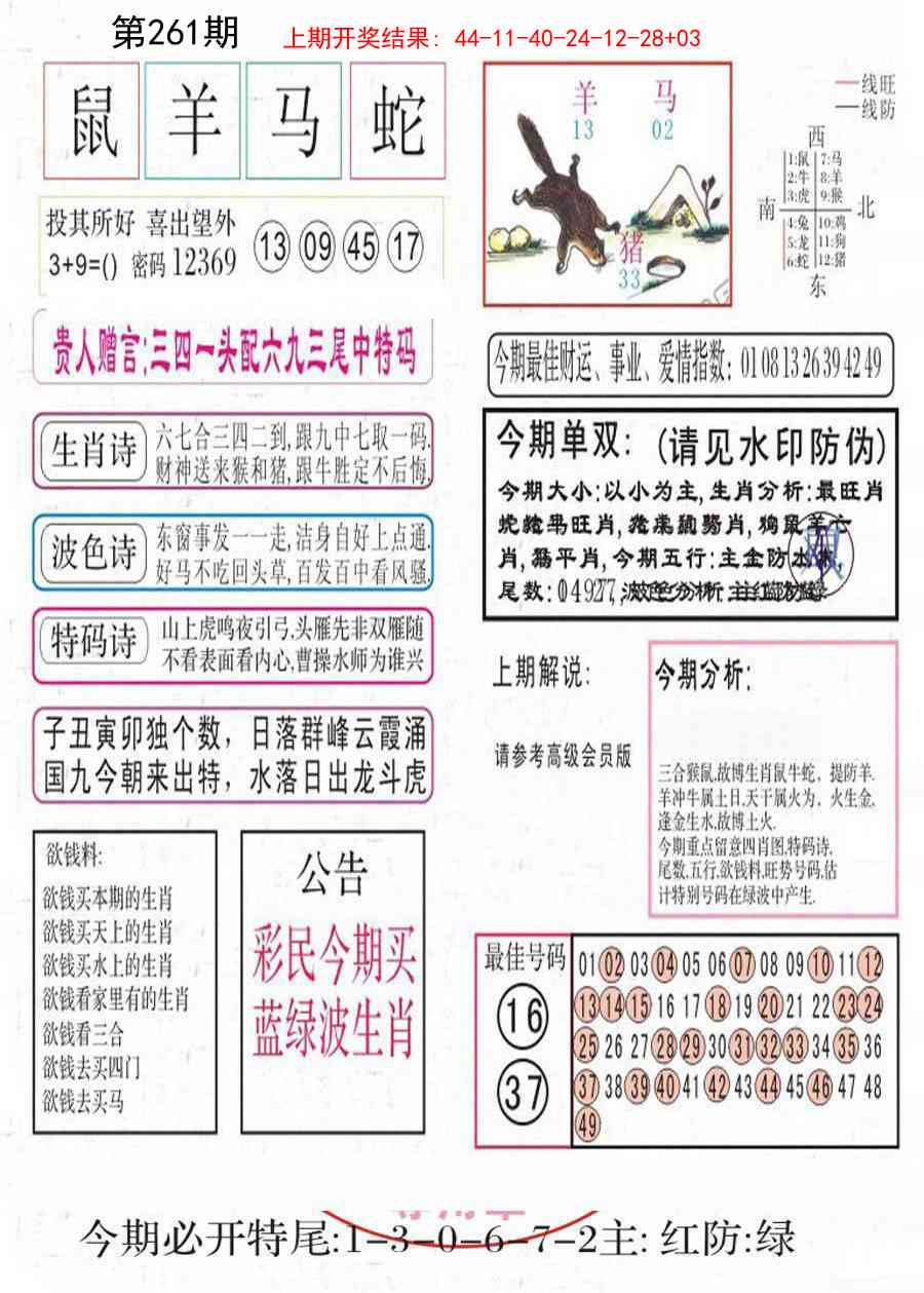 261期凤凰闲情A[图]