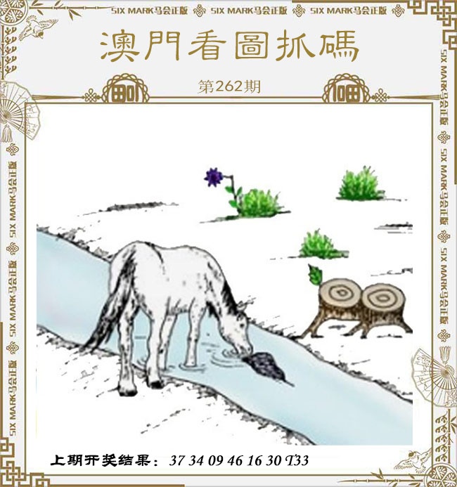 262期澳门看图抓码[图]