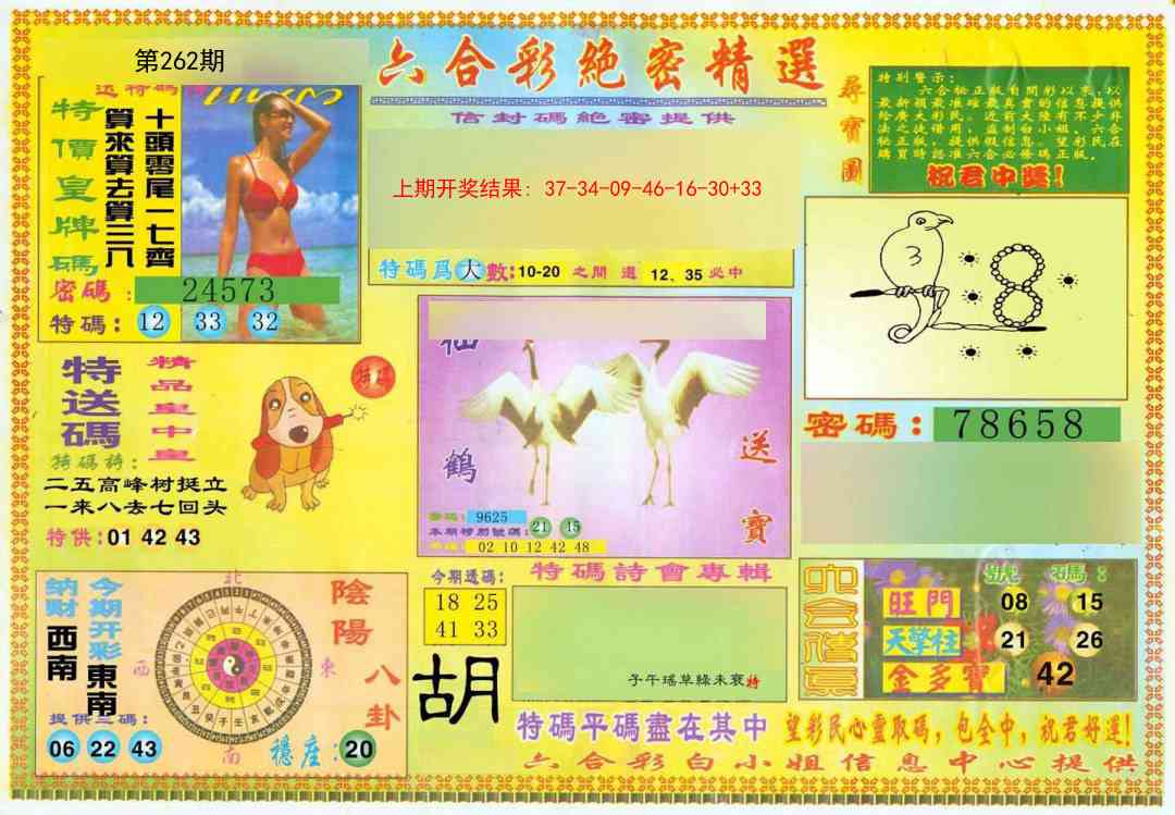 262期绝密精选A[图]