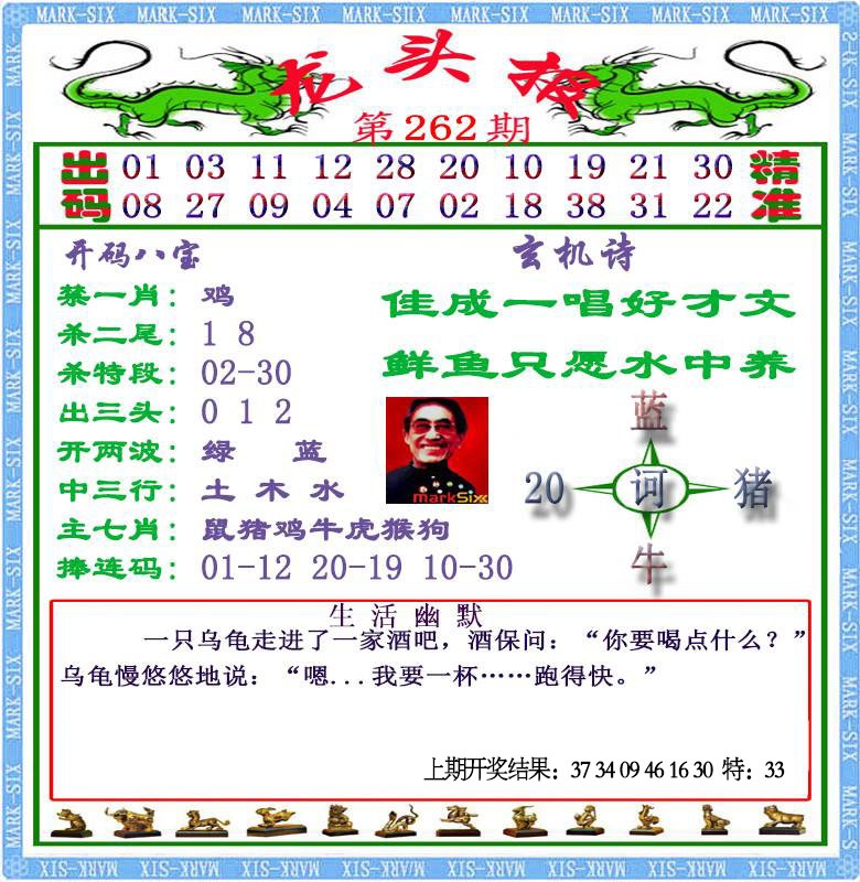 262期龙头报[图]