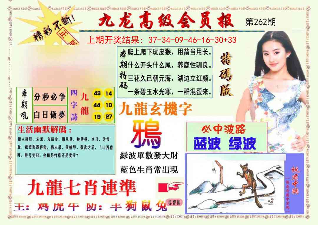 262期九龙高级会员报[图]