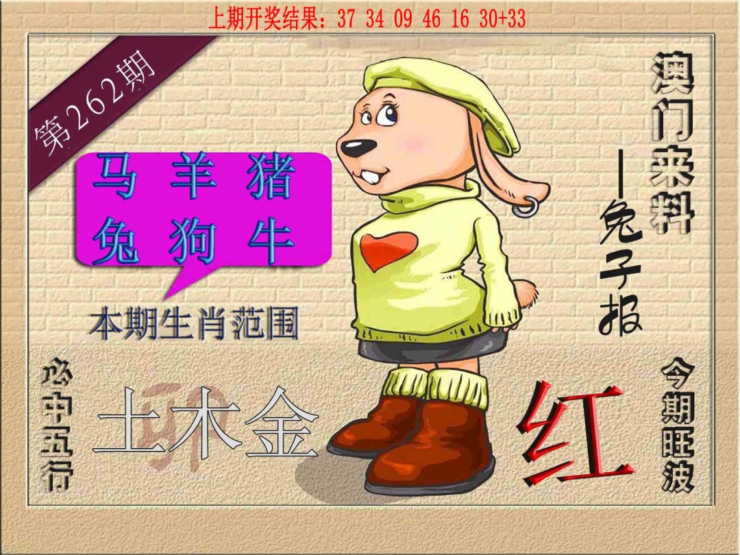 262期(来料)兔报[图]
