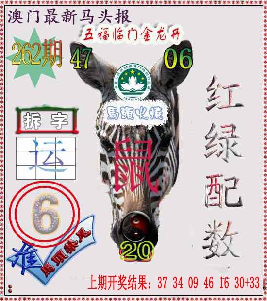 262期马头报[图]