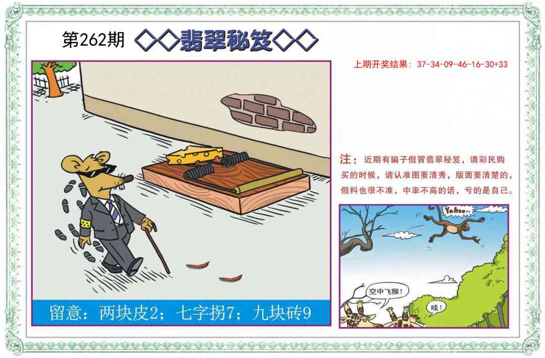 262期翡翠秘笈[图]