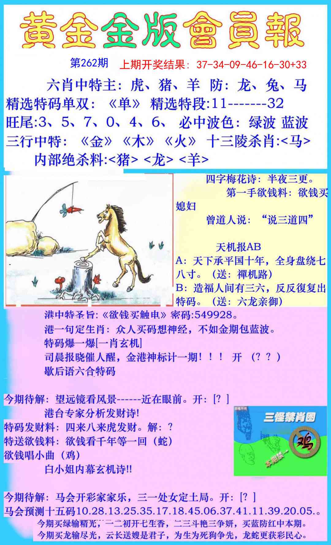 262期黄金金版会员报[图]