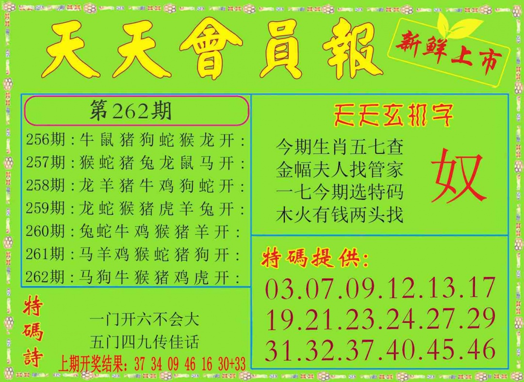 262期天天会员报[图]