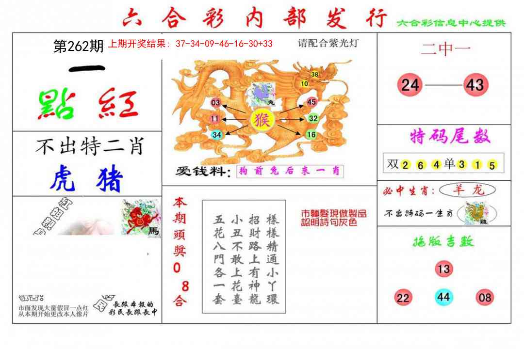 262期一点红[图]