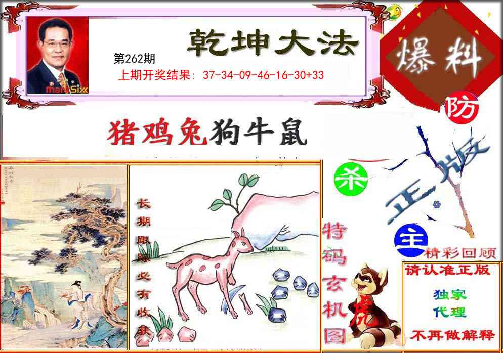 262期乾坤大发[图]