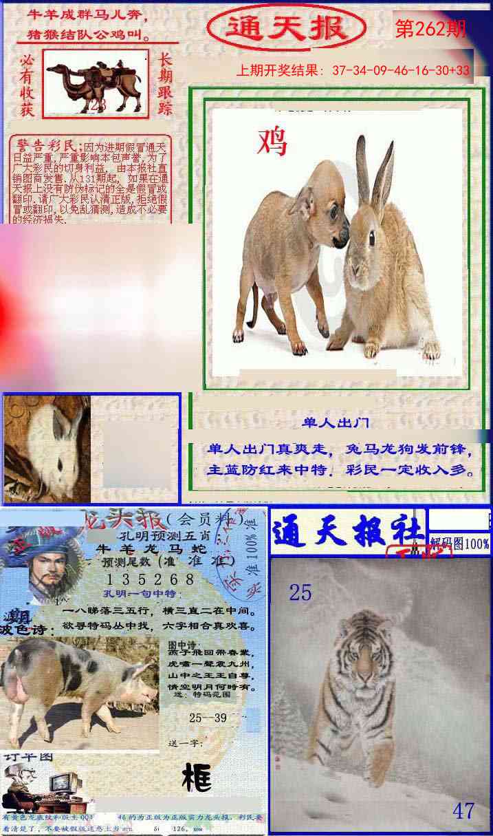 262期实力通天报[图]