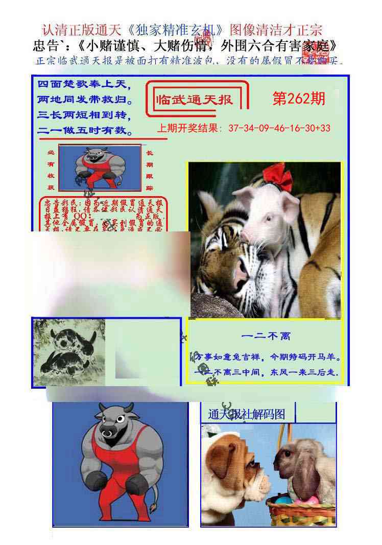 262期临武通天报[图]