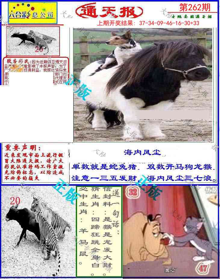 262期大陆通天报[图]