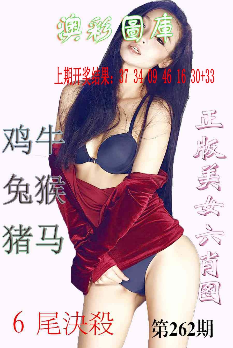 262期美女六肖图-1[图]