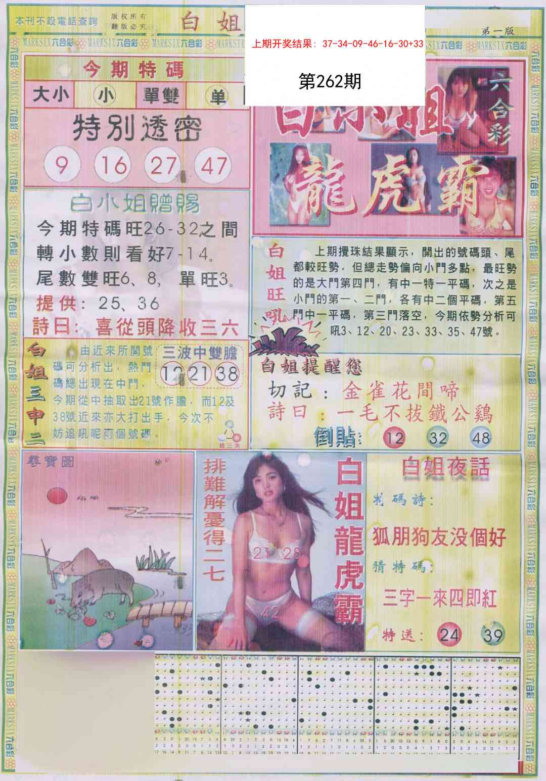 262期白小姐龙虎霸A[图]