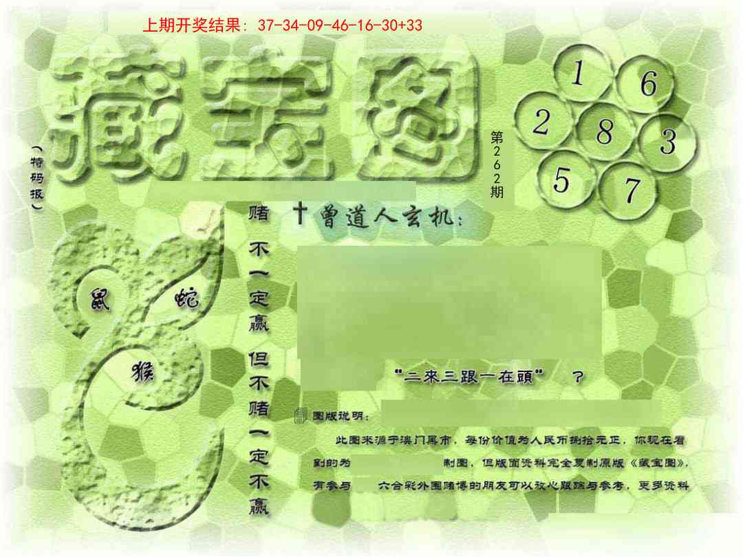 262期假新藏宝图[图]