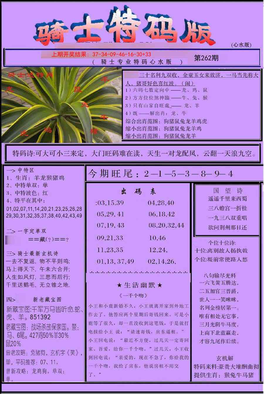 262期骑士特码版[图]