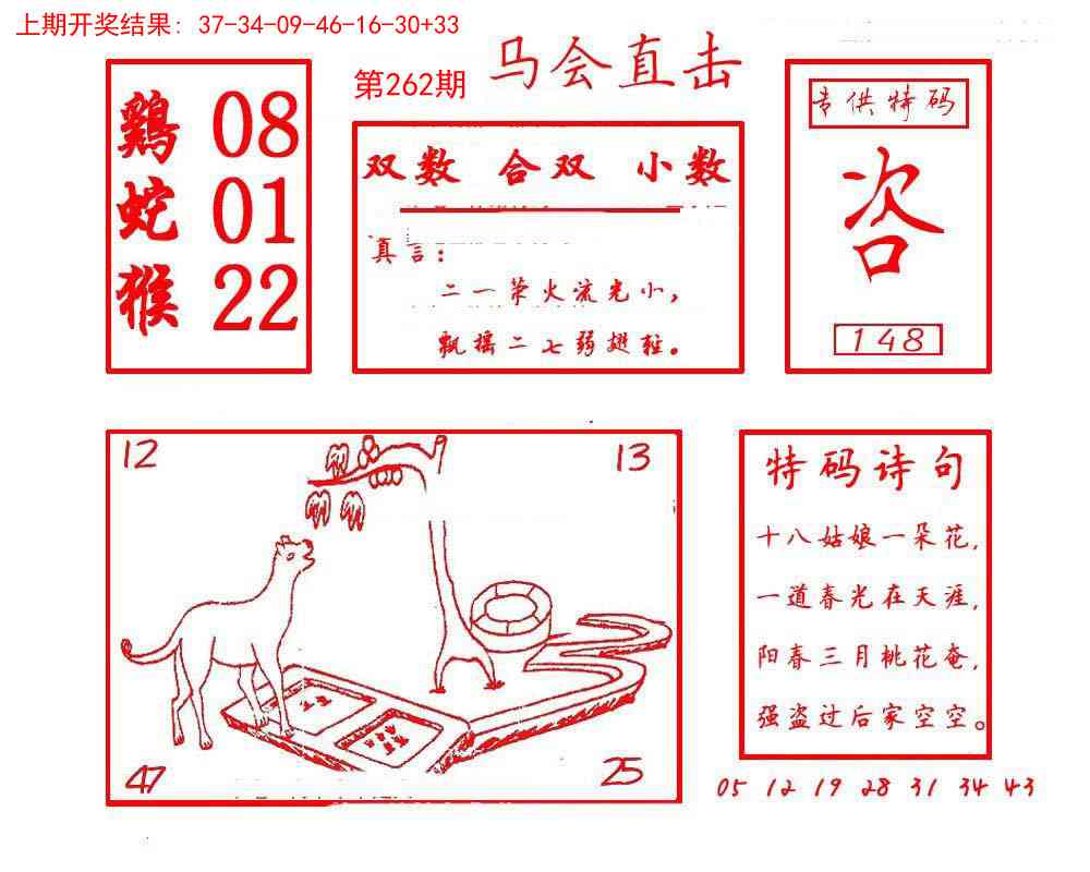 262期马会直击[图]
