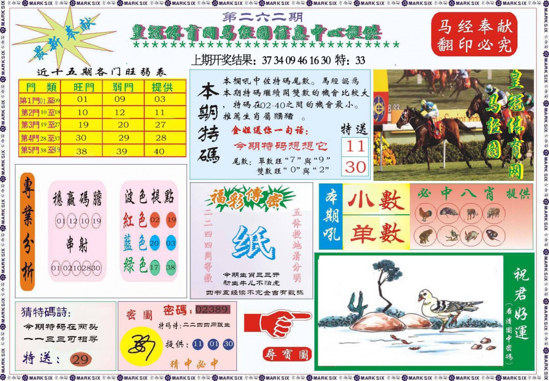 262期体育网马经图[图]