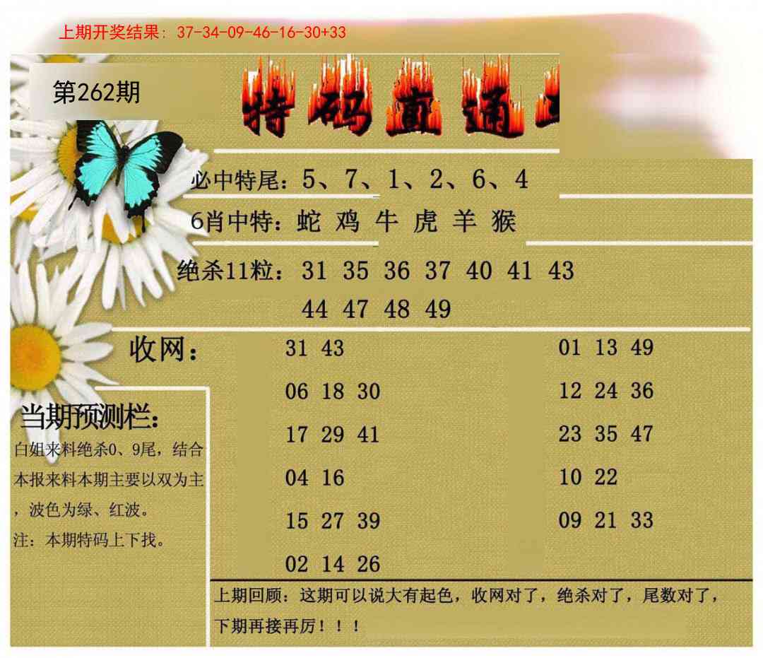 262期特码直通车[图]