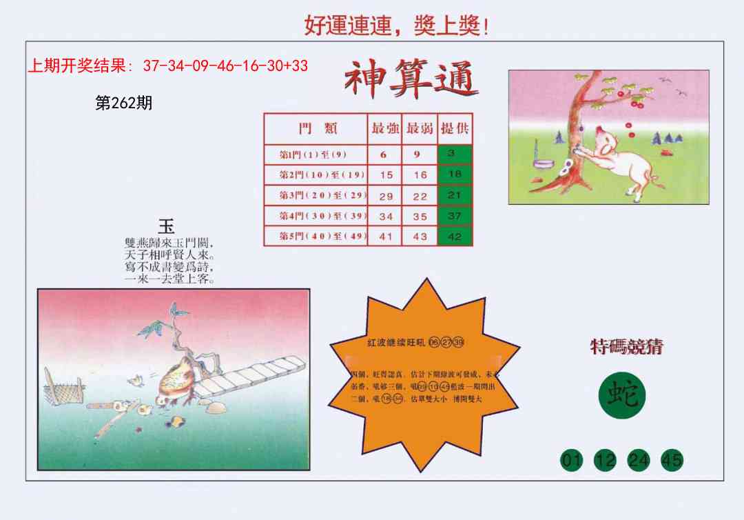 262期4-台湾神算[图]