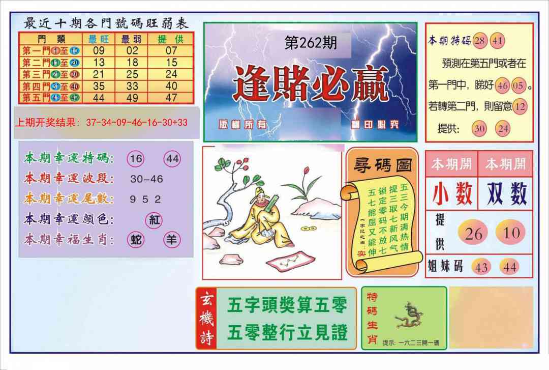 262期逢赌必羸[图]
