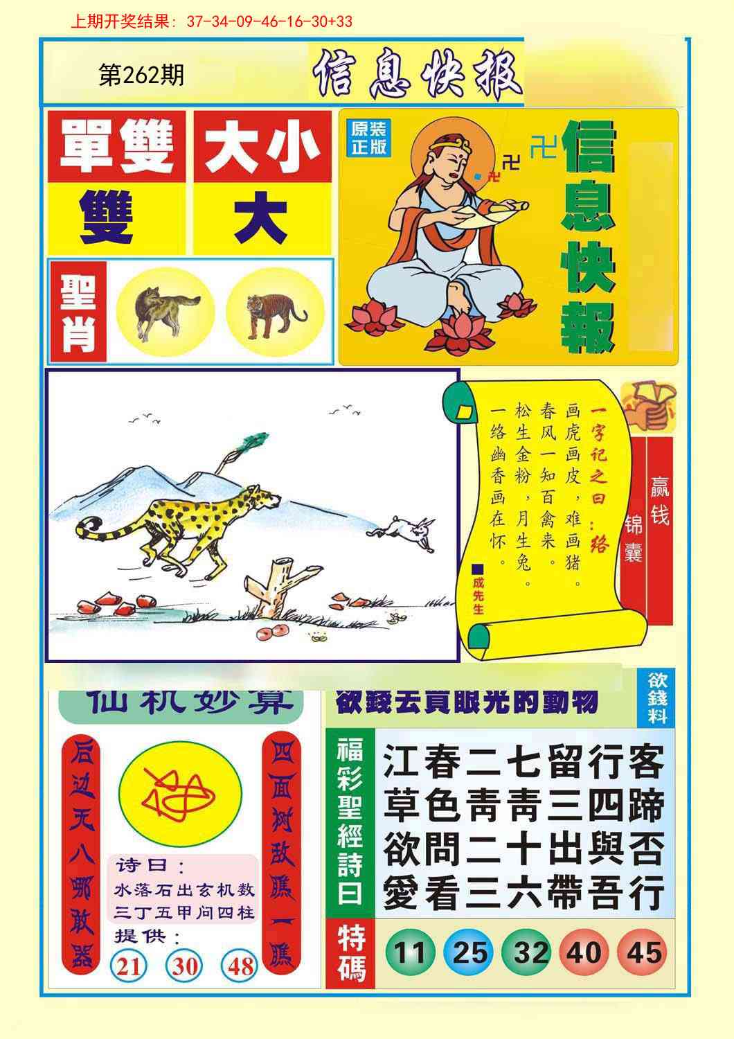 262期信息快报A[图]