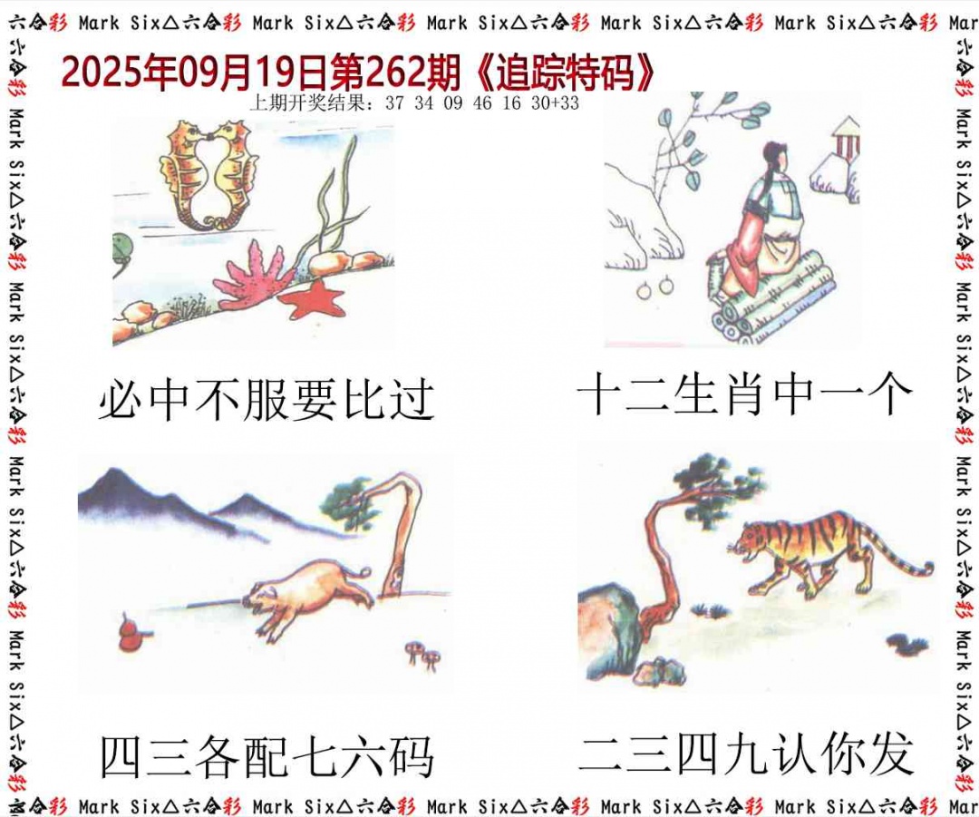 262期追踪特码[图]