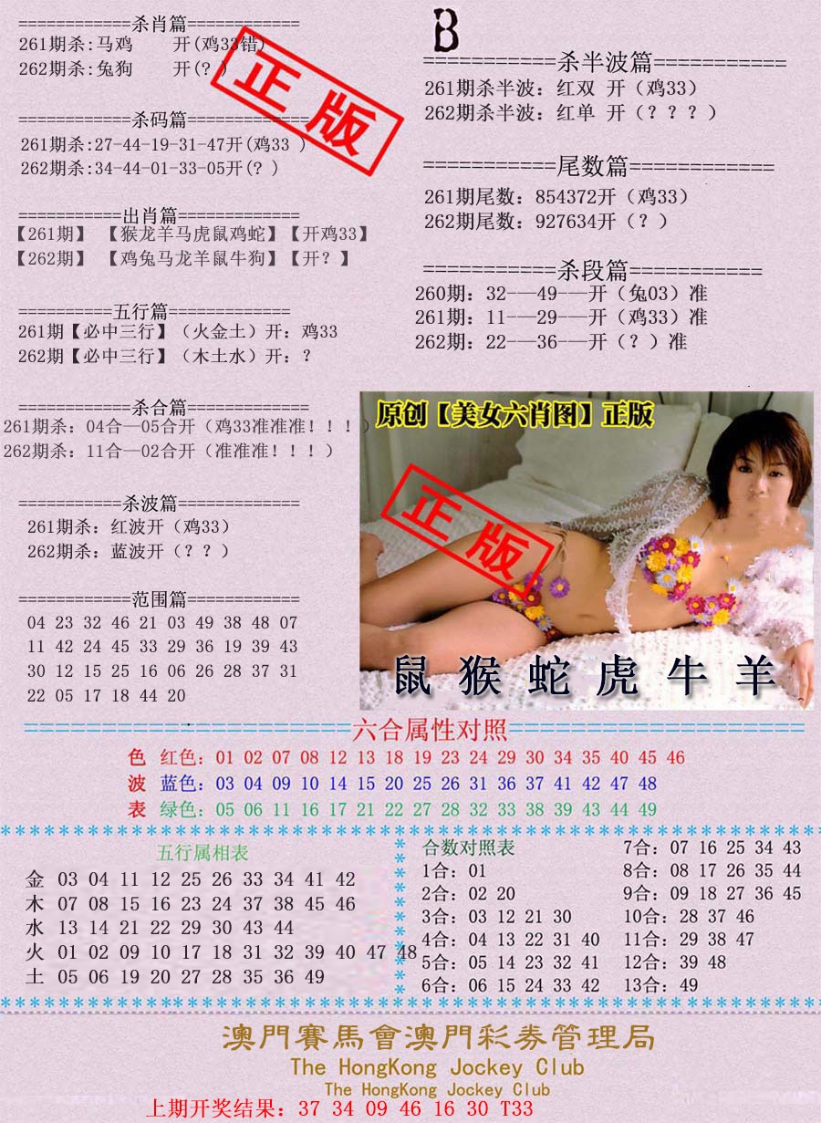 262期通缉令-2[图]