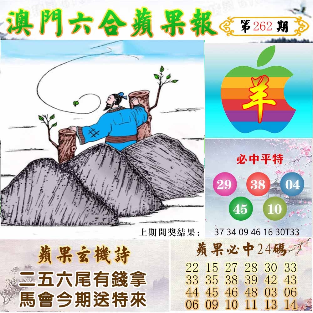 262期苹果报[图]