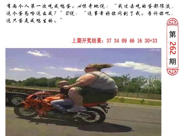 262期澳门生活幽默[图]