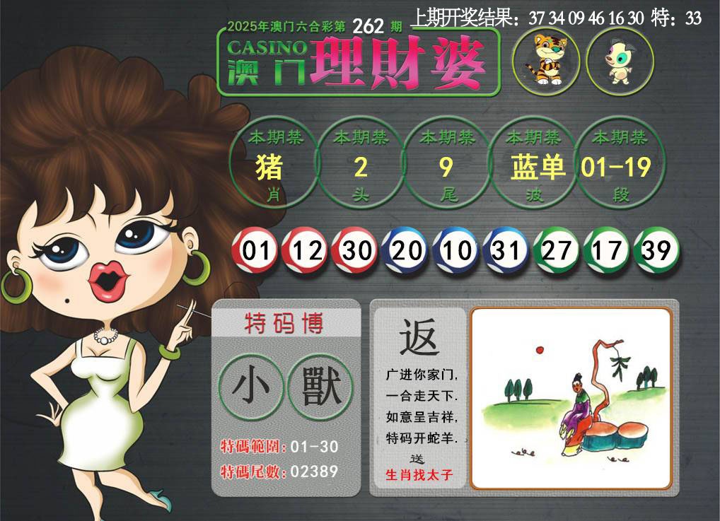 262期澳门理财婆[图]