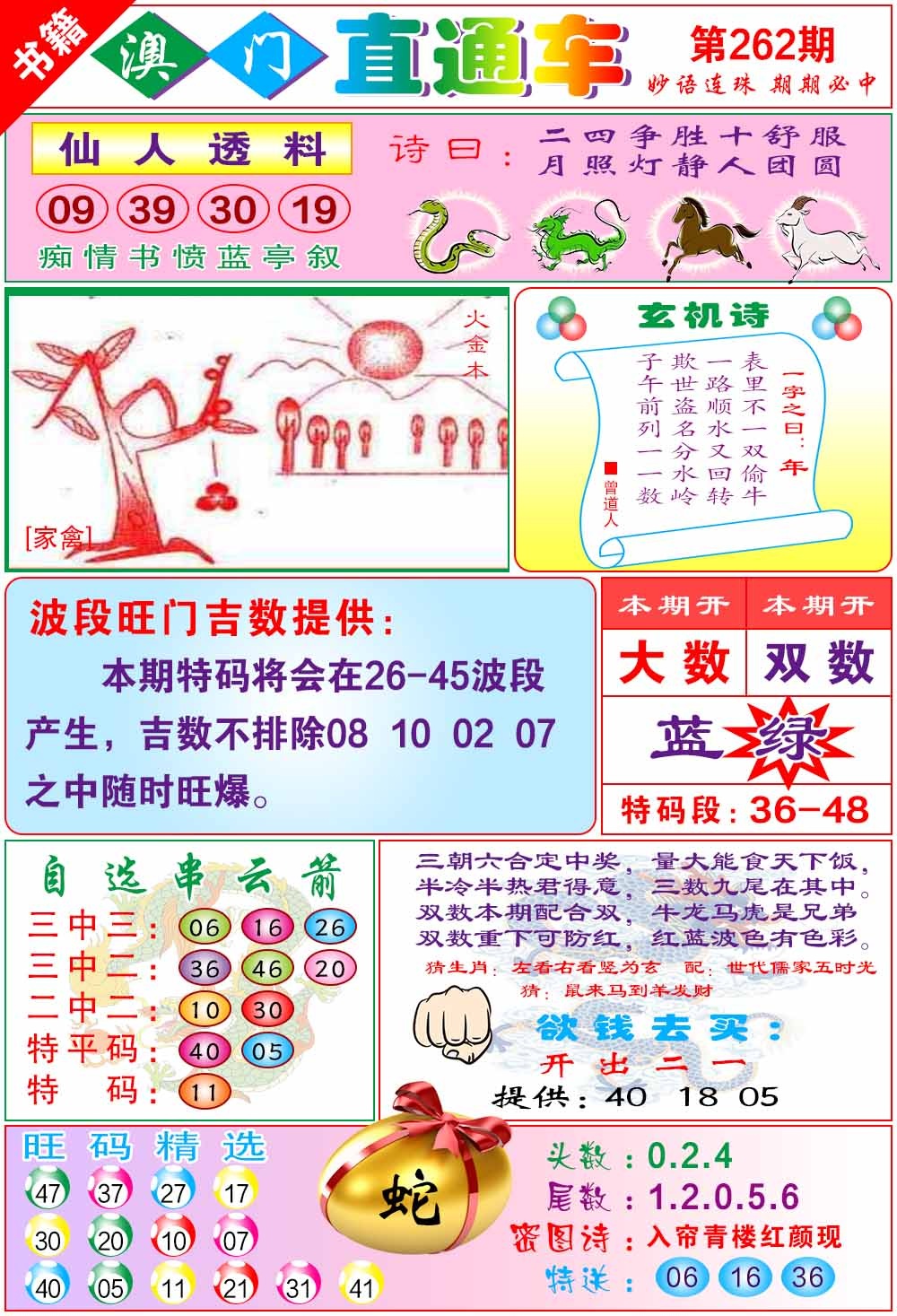 262期白姐直通车[图]