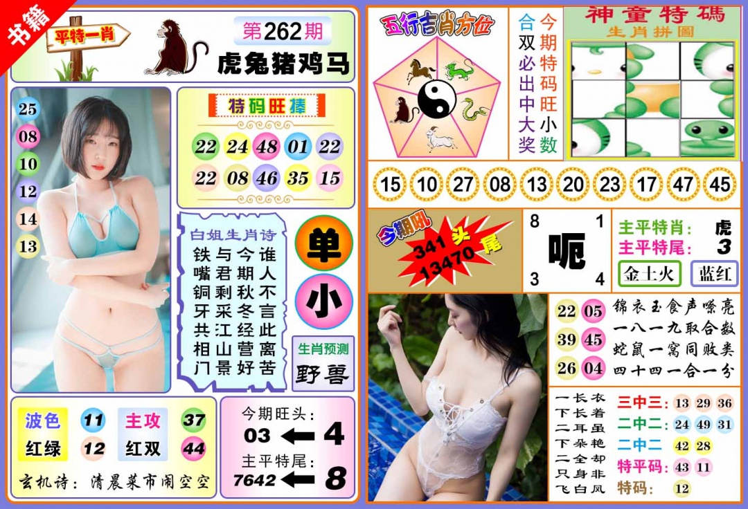262期澳门五行白姐[图]