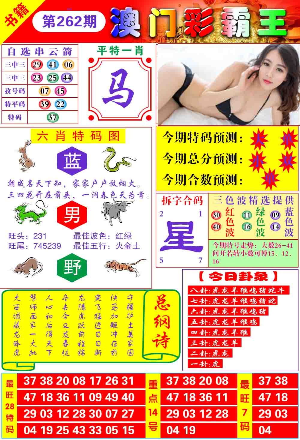 262期澳门彩霸王[图]