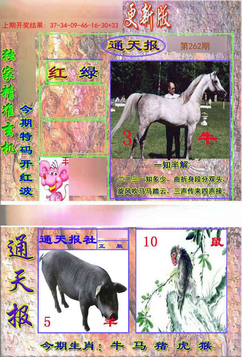 262期新通报[图]