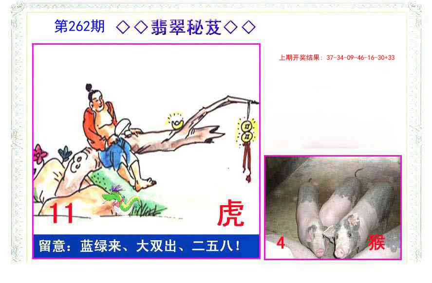 262期翡翠报[图]