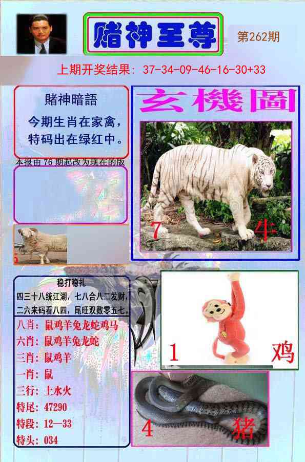 262期赌神至尊[图]