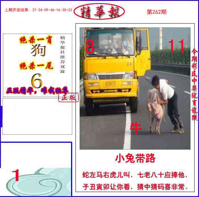 262期新精华报报[图]