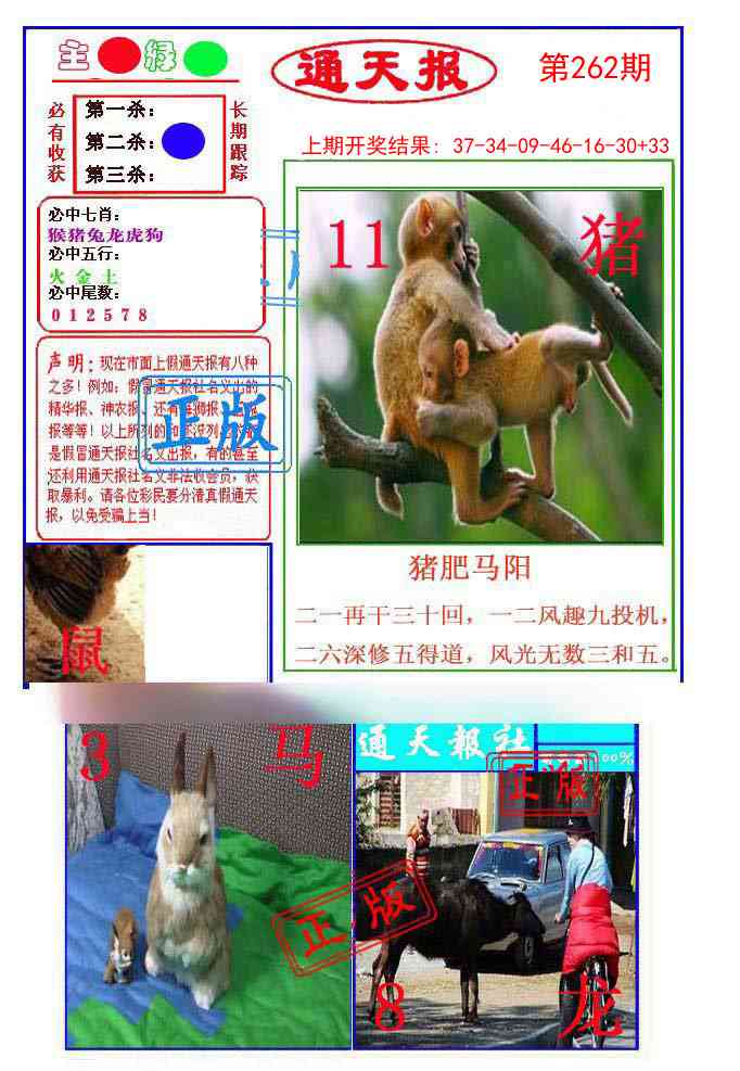 262期通天杀波图1[图]