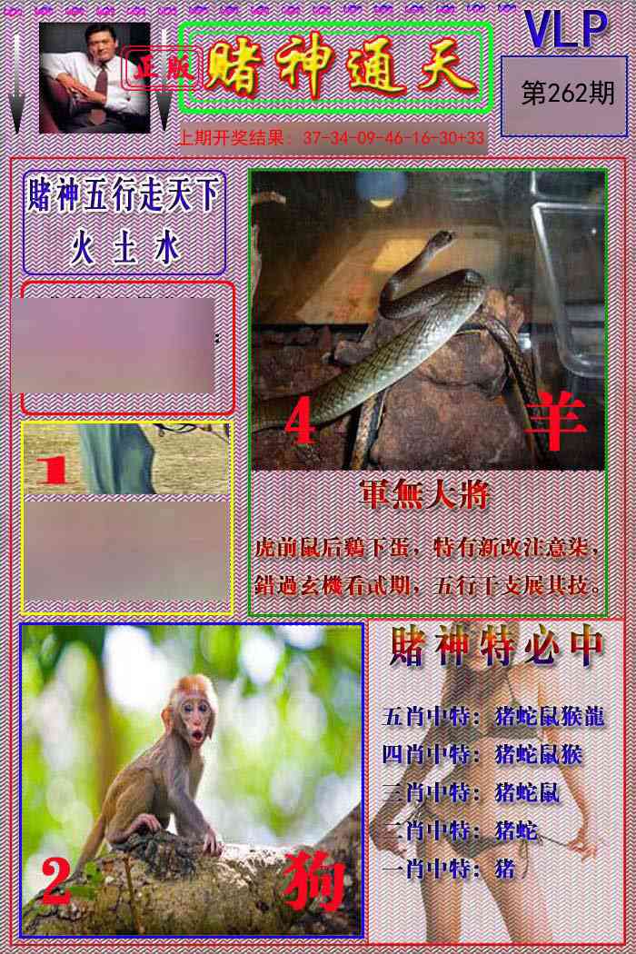 262期赌神通天报[图]