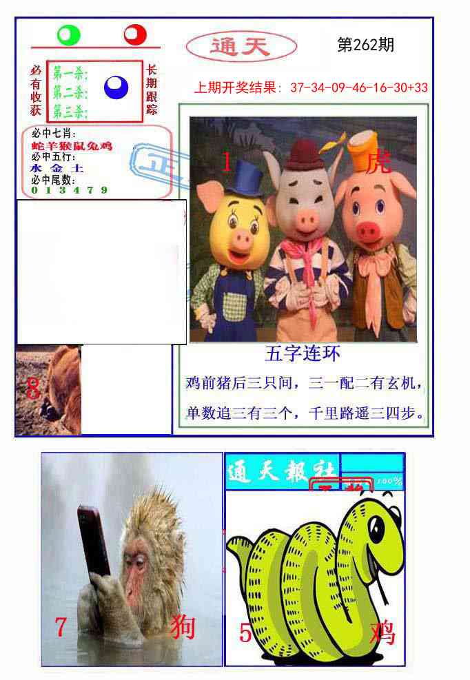 262期通天杀波图2[图]