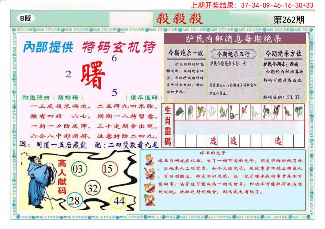 262期九龍杀杀杀B(推荐)[图]