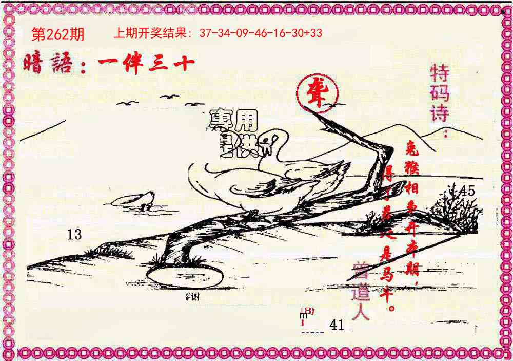 262期新暗语报[图]