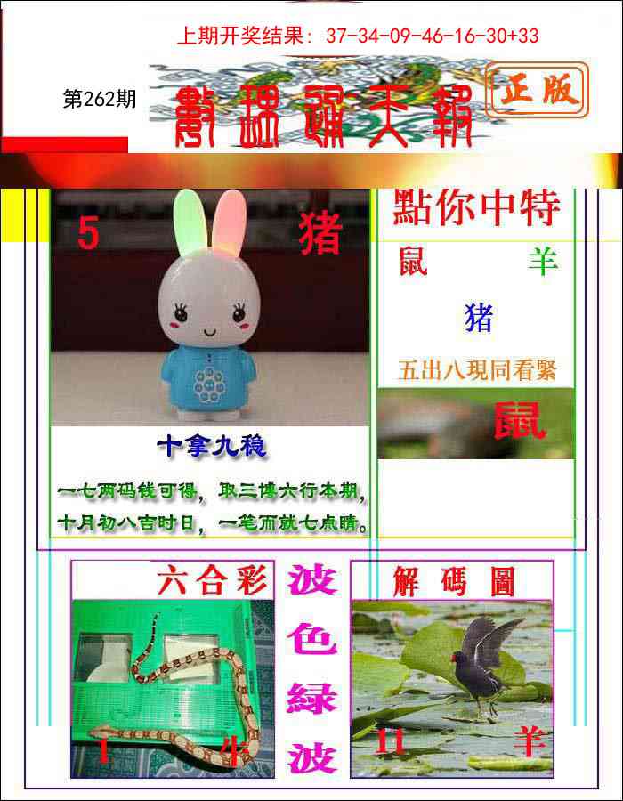 262期数理通天[图]