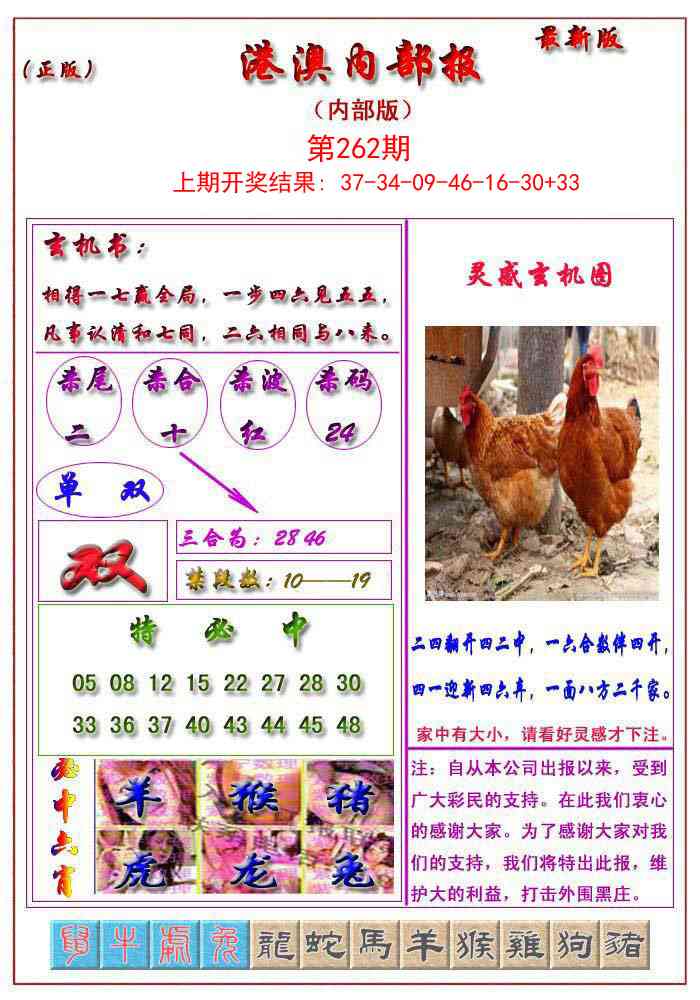 262期港澳报[图]