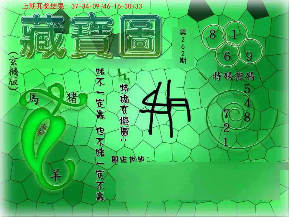 262期九龍玄机报[图]